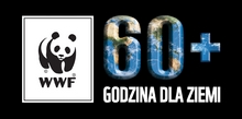 godzina