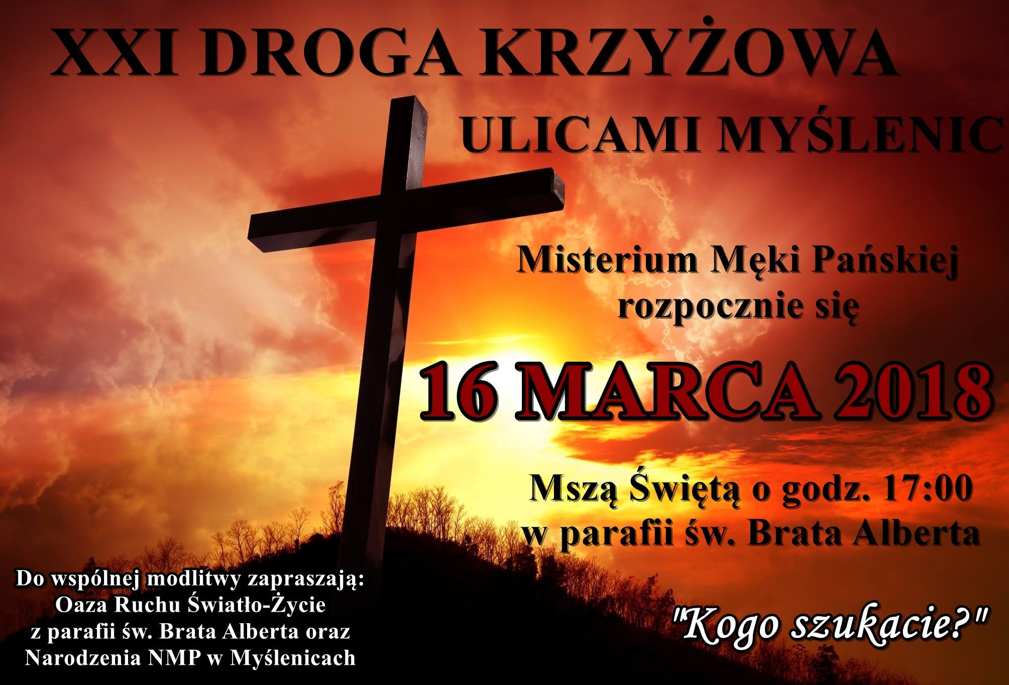 droga 18